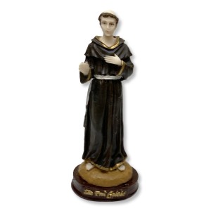 IM1730407 - Imagem São Frei Galvão Resina - 15x5cm